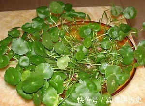 久咳|久咳不止,不要不停吃药,不妨试试此野草,化痰止咳,早知早受益