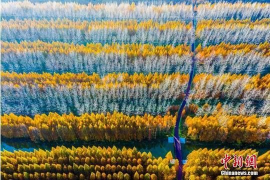 今日|今日小雪 | 天冷勿忘加衣 愿你今冬一切安好