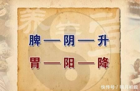 脾胃虚寒最好的方子,给脾胃源源不断注入阳气与动力,赶紧收藏!