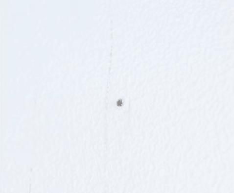 墙壁脏了不用重新粉刷，学会这几招，洁白如新~