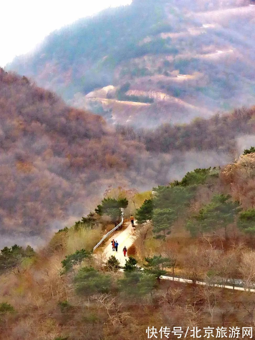 望京楼|秀色满山，疏木绿黄，来百望山感受流年暗换的初冬雅趣吧