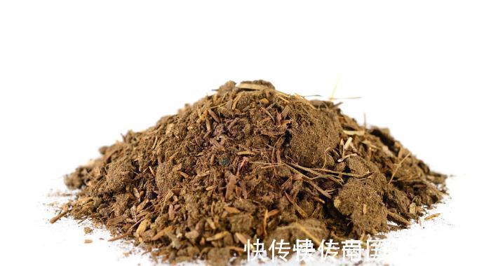 旧土|养花换下来的旧土别扔,加4种东西,比新土还好用