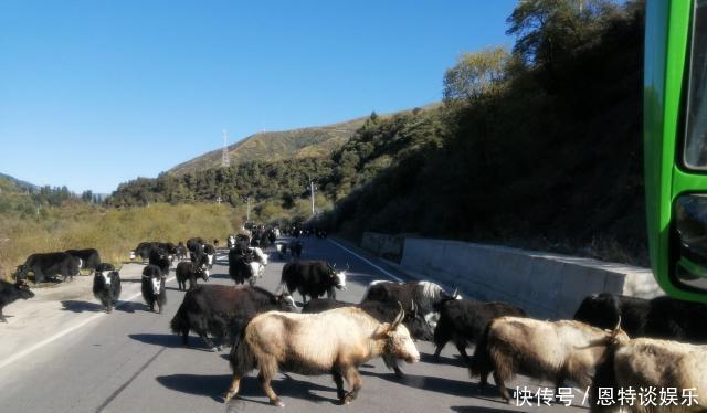 红军|历时两天过草地！日干乔绝美、花灯会同乐、班佑碑热泪横流！