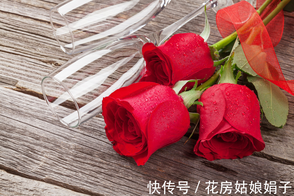木犀草|在一起会“打架”的花，不是你死我活，就是两败俱伤，需要分开养