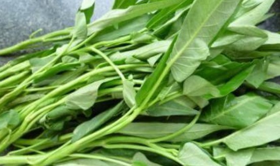 胡萝卜素|想要长寿先排毒,3种食物经常吃,滋润皮肤,强身健体,早吃早好