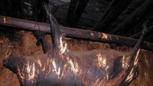 臭猪肉|四种不怕过期的食物,放的时间越久越值钱,千万记住别再扔掉了