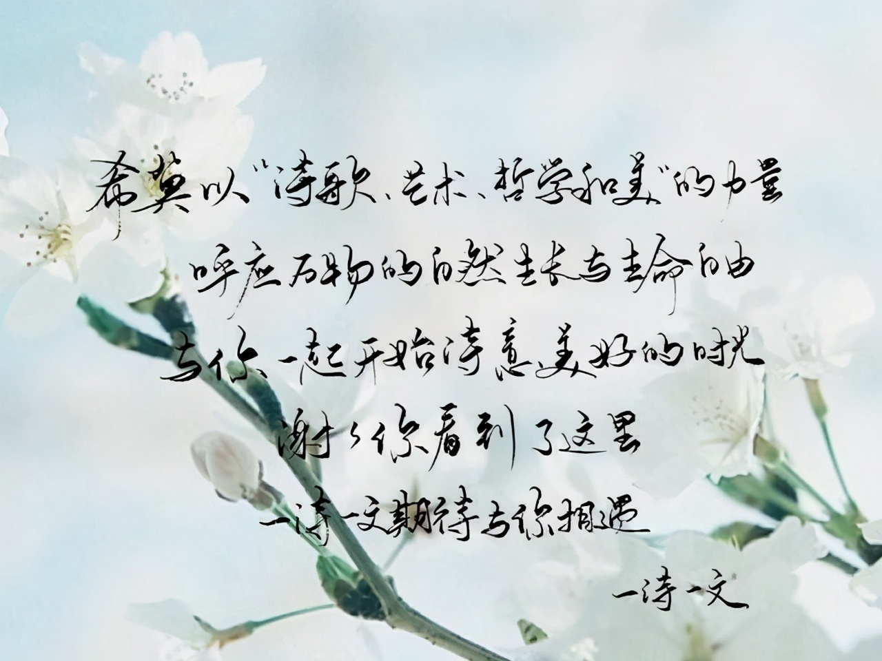 王雅荟!偷走诗人的情诗,诗里躺满你的名字,令人惊艳的句子和小诗送给你