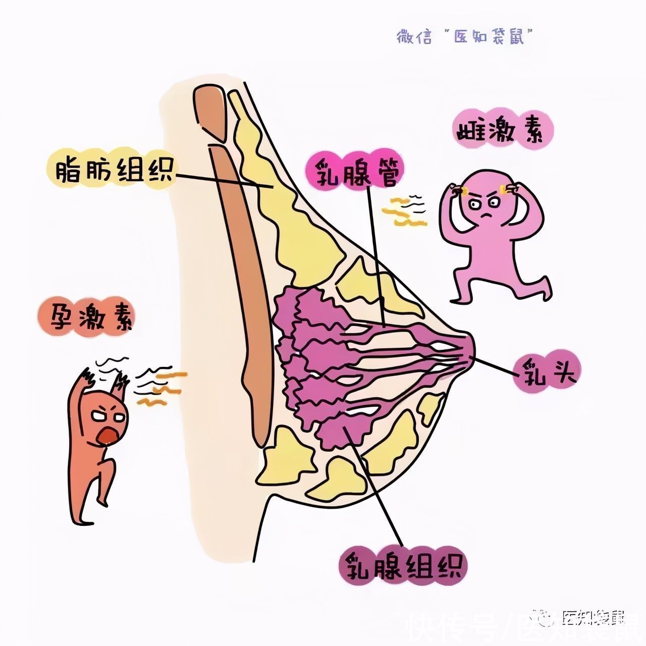 手术治疗|娃还没生出来，就开始分泌乳汁了，这正常吗？