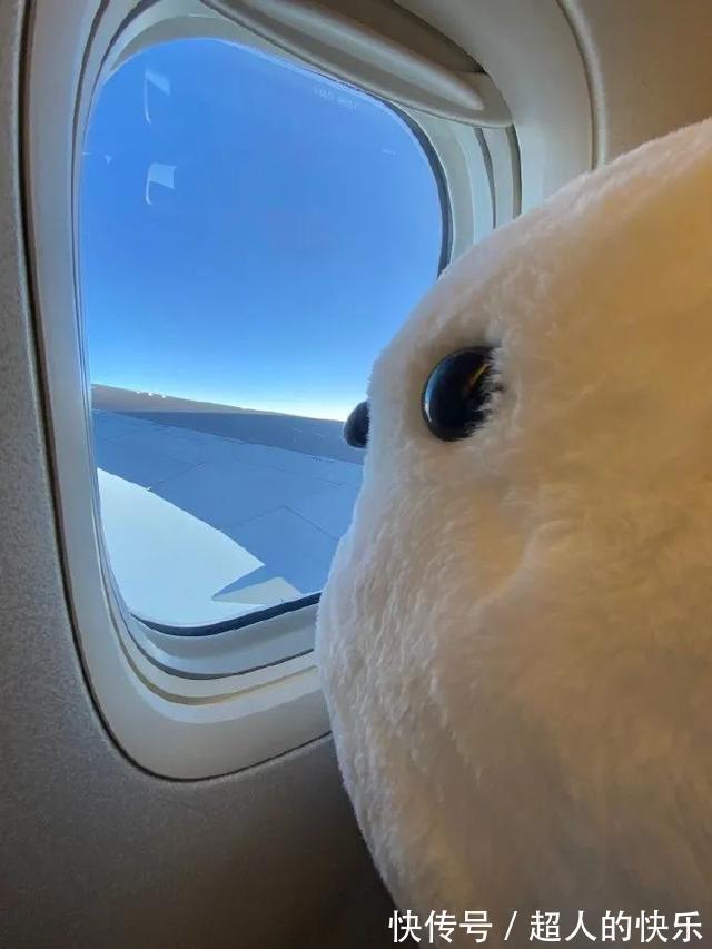 |拍迪士尼烟花翻车现场 冷段子2008