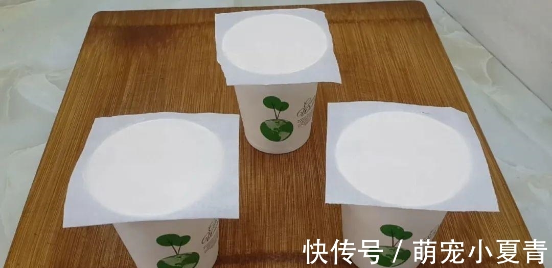 4个鸡蛋,1袋牛奶,冰箱里一放,做出特色雪花,吃过就念念不忘
