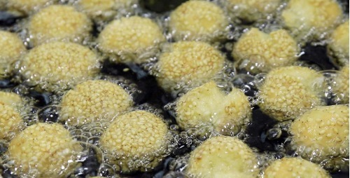 泡打粉|2个鸡蛋,一碗面,不发面不醒面,快速做开口笑,个个酥的直掉渣