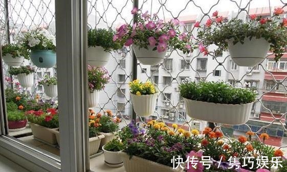 新手养花失败,大部分原因在于浇水不当!学会这3方法减少伤亡