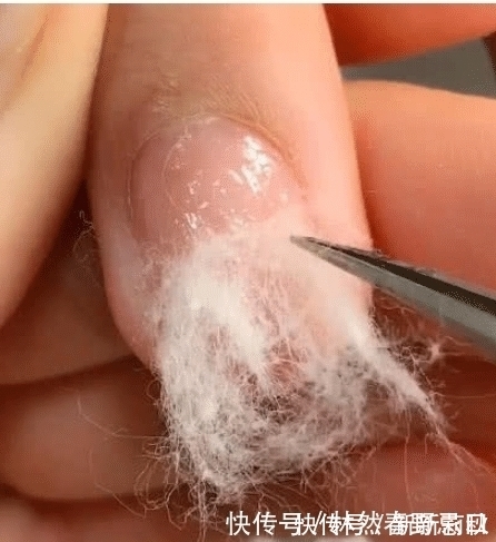 美甲店|别再去美甲店了,最近这款“棉花”延长指甲火了,自己在家就能做