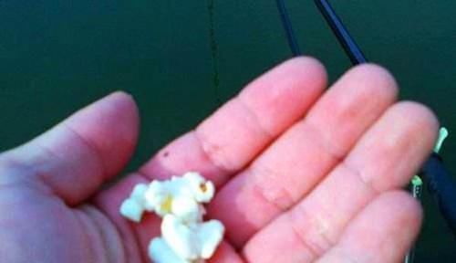 爆米花|钓鱼技巧:知道钓离底,“反向钓离底”是个啥钓法?应该怎么用?