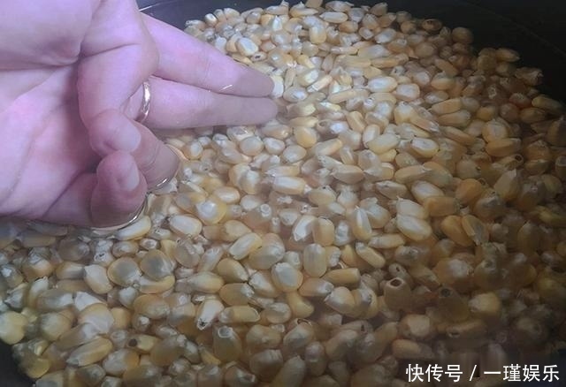  钓友在家自制钓鱼窝料，10斤花费50元，配方公布大家说划算不