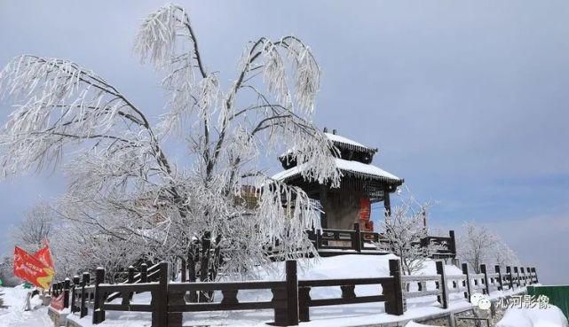 雪后王莽岭，美得不要不要的！