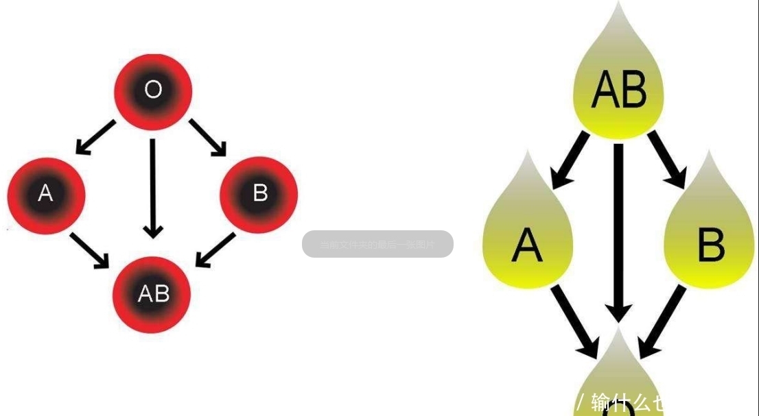 惊!人类血型也开始进化升级了,竟有32种之多