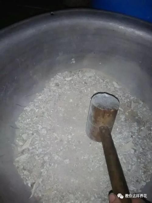 泡沫箱|冬天养花埋点它，开春就疯长，1年不施肥一样绿油油！