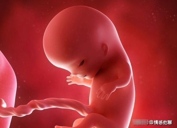 后壁|孕期,胎宝位置在前壁和后壁有什么不同吗?或许很多孕妈不了解