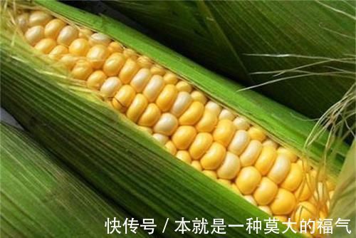 食物|女性爱美不妨坚持吃几种食物,补血益气,美白淡斑,肌肤细腻光滑