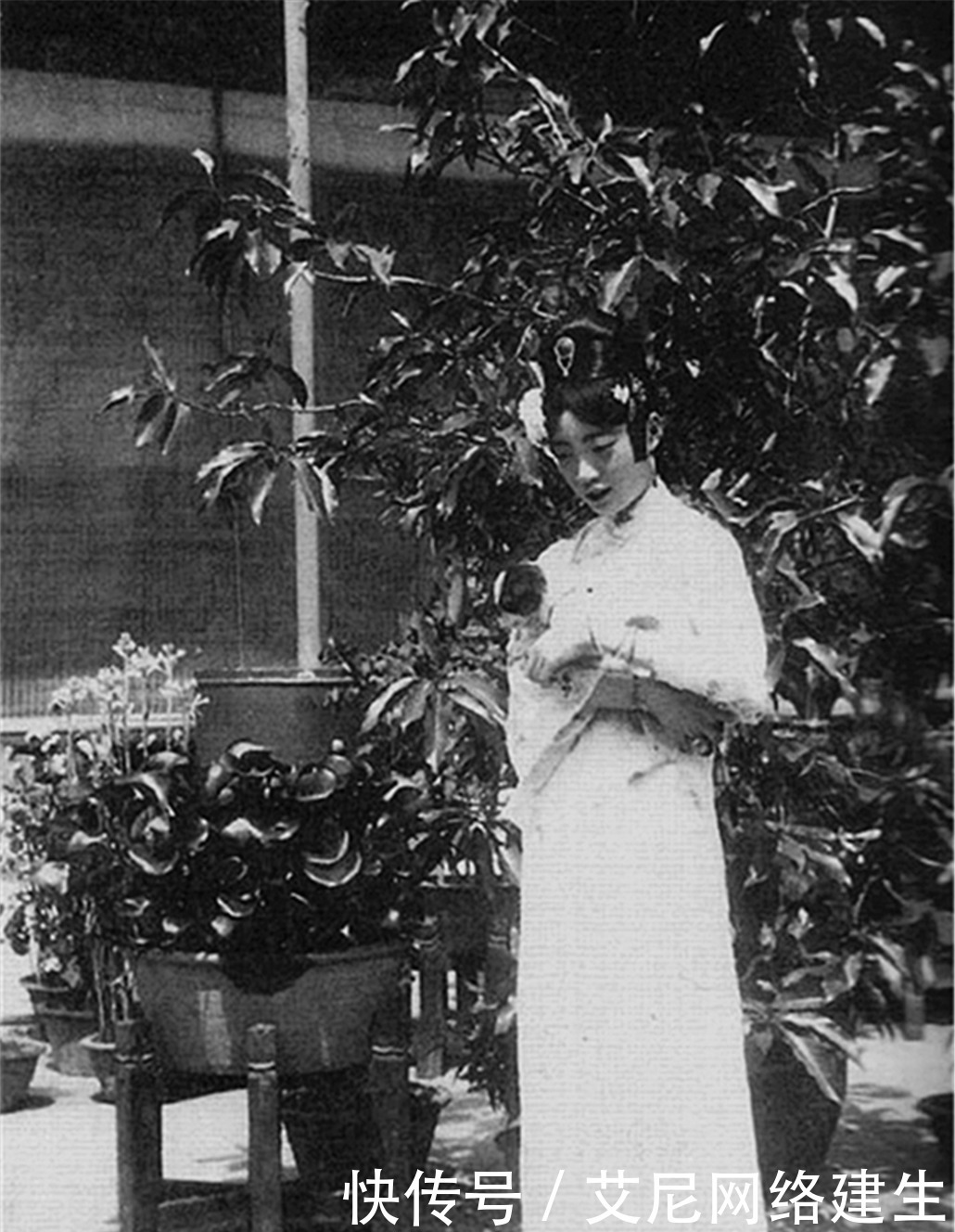 皇后|婉容为什么宁肯守空房也不离开溥仪?看看文绣的下场就知道了