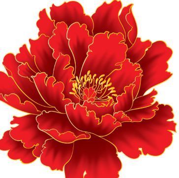 喜欢菊花不如养盆“精品牡丹”,美如胭脂,似花中仙子