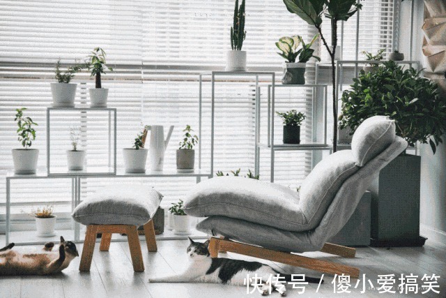 花园|3平米小阳台,也能变花园,有露台、阳台的千万别浪费!