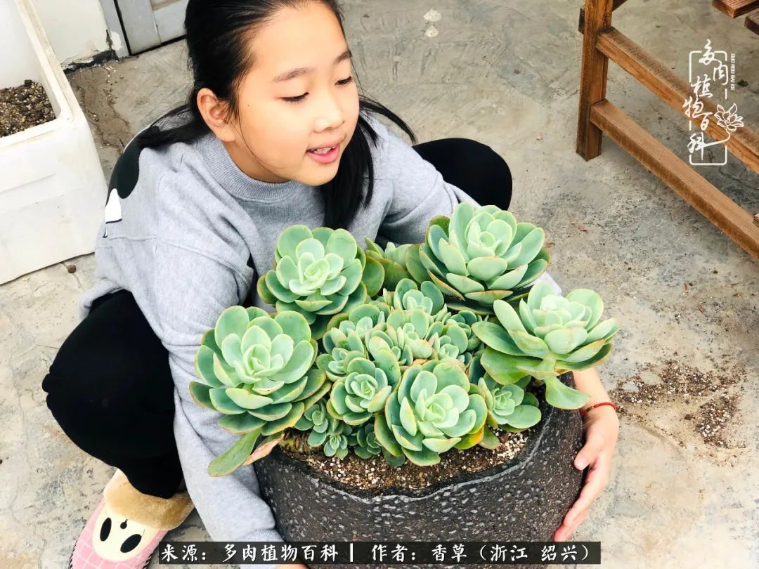 阳台上的一亩三分地，我愿与你一起，与时光媲美！