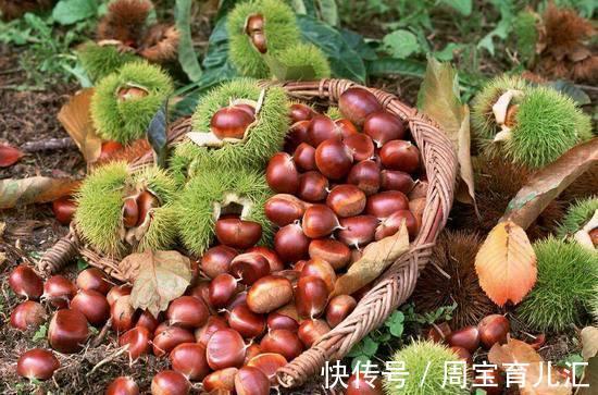 巧克力布丁|人到中年想长寿,多吃以下果蔬,排毒润肠,滋润皮肤,改善血液