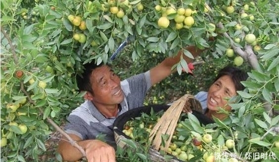 水果|湿气重的人，这3种水果要少吃，会加重“湿气”，少吃1种也不错