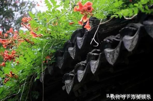 拂逆境,从容心,一种难得的境界