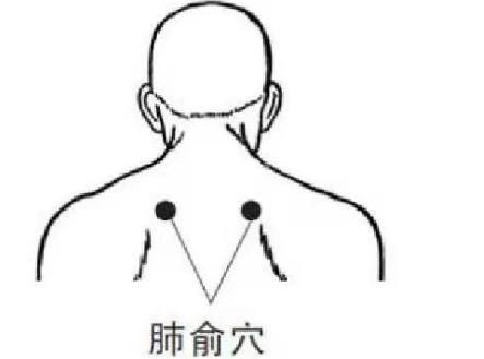 急食酸|秋季补得好，冬天病不找!秋天到了,中医专家教你有效进补