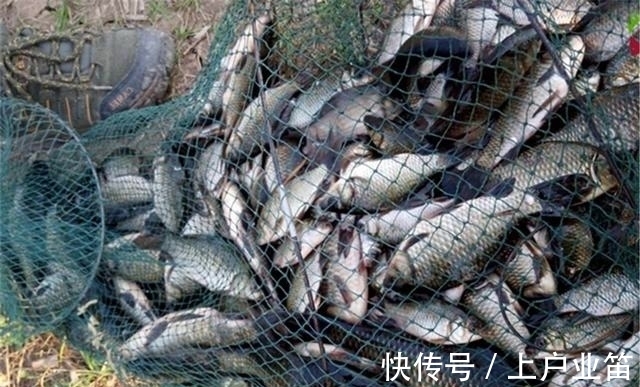 冬季钓鲫鱼,饵料轻而且小,调漂有这3种方法,中鱼率全都非常高