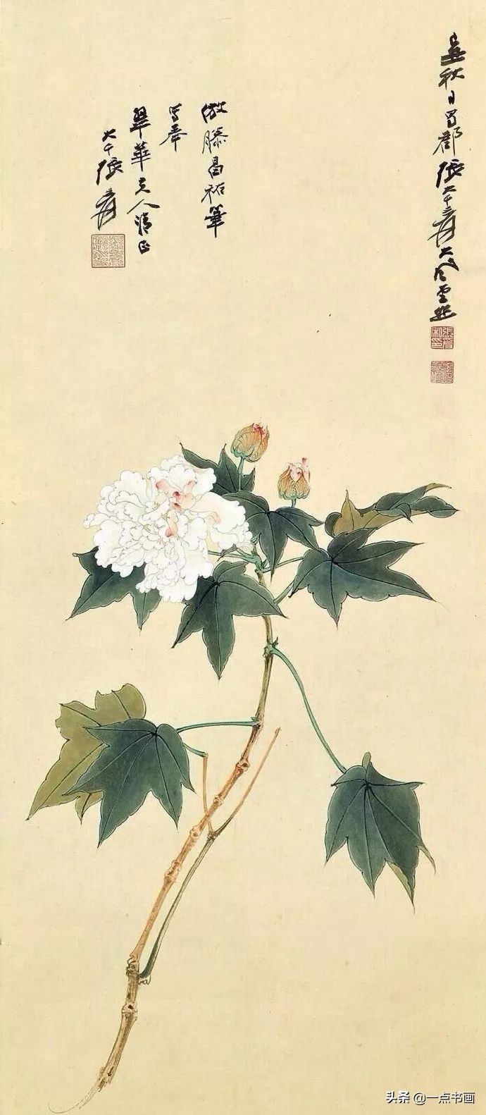 工笔&张大千 花鸟画100幅高清欣赏