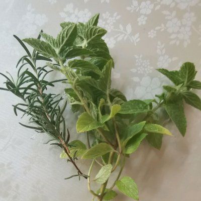 蓝莓慕斯蛋糕|这道蓝莓慕斯蛋糕，家人天天求我做