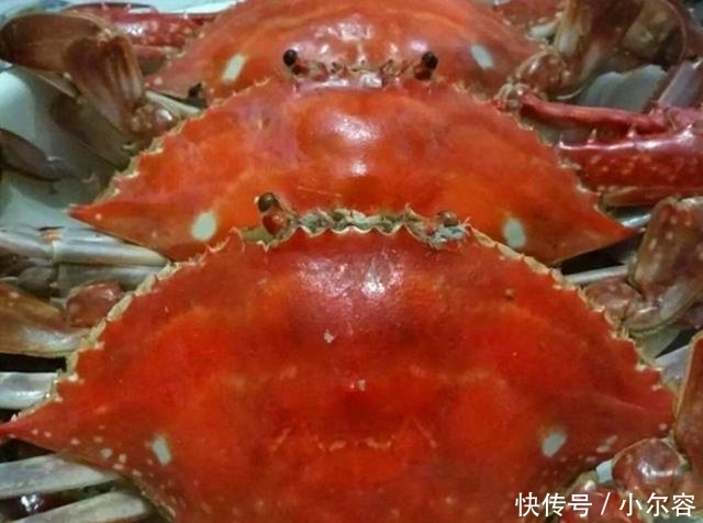 螃蟹|蒸螃蟹时,加葱加姜都不对!多加这2步,螃蟹不流黄不断腿,香