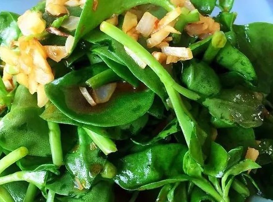 蒲公英|这6种长在地里的“天然青霉素”,隔三差五吃一回,常吃少生病