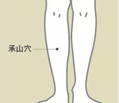 湿气|别忙着祛湿呐,先分清寒湿和湿热再说