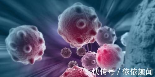 小青菜|最健康的蔬菜,就是常见的2种家常菜,常吃更易长寿,早知早受益