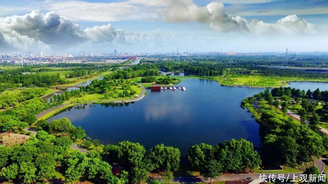 辰山植物园|本月起，只要你来自这九座城市，可享辰山植物园门票半价优惠