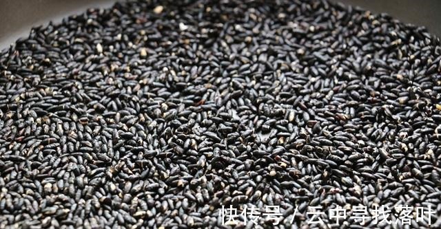黑米|秋天,少吃栗子多吃它,炒熟碾碎用开水一冲,每天吃2勺真香啊!