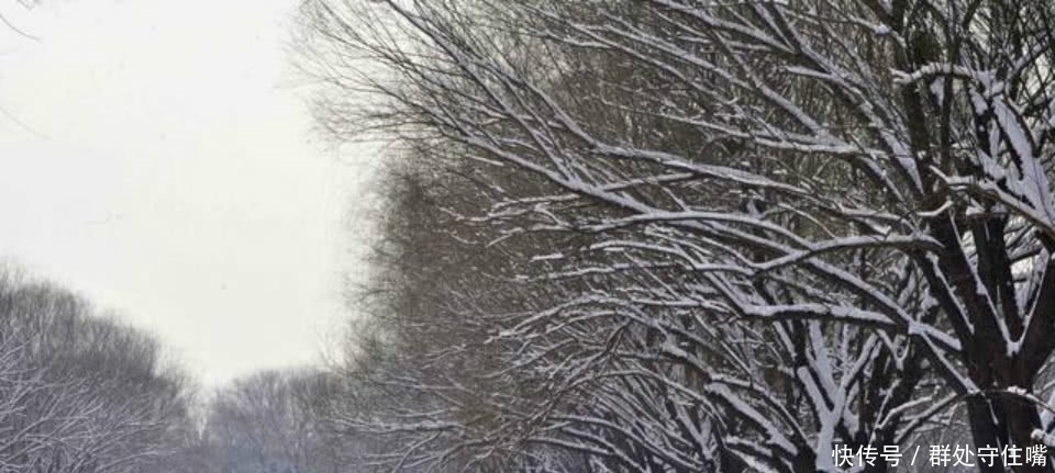 天津桥下|孟郊站在洛桥上望嵩山,看到山顶皑皑白雪,写下一首很伤感的诗