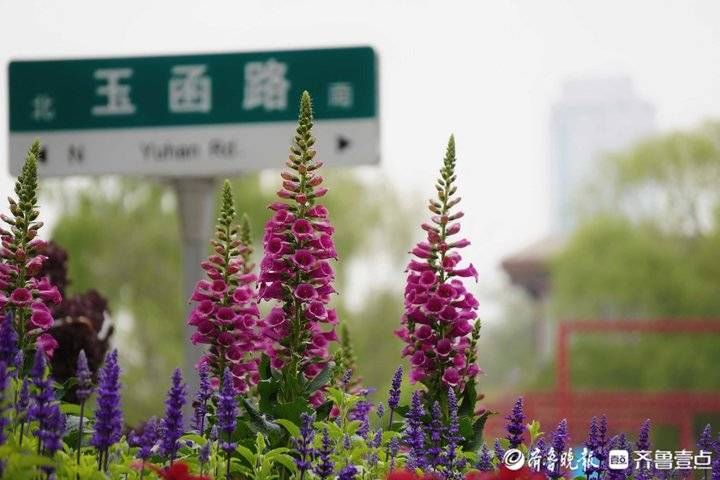 每日最佳情报｜今年第一次超级月亮来啦！恭喜壹粉喜提红包