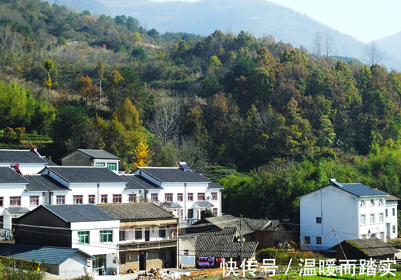 一宅|农村宅基地严格执行一户一宅,在城里买房的,会收回农村宅基地吗