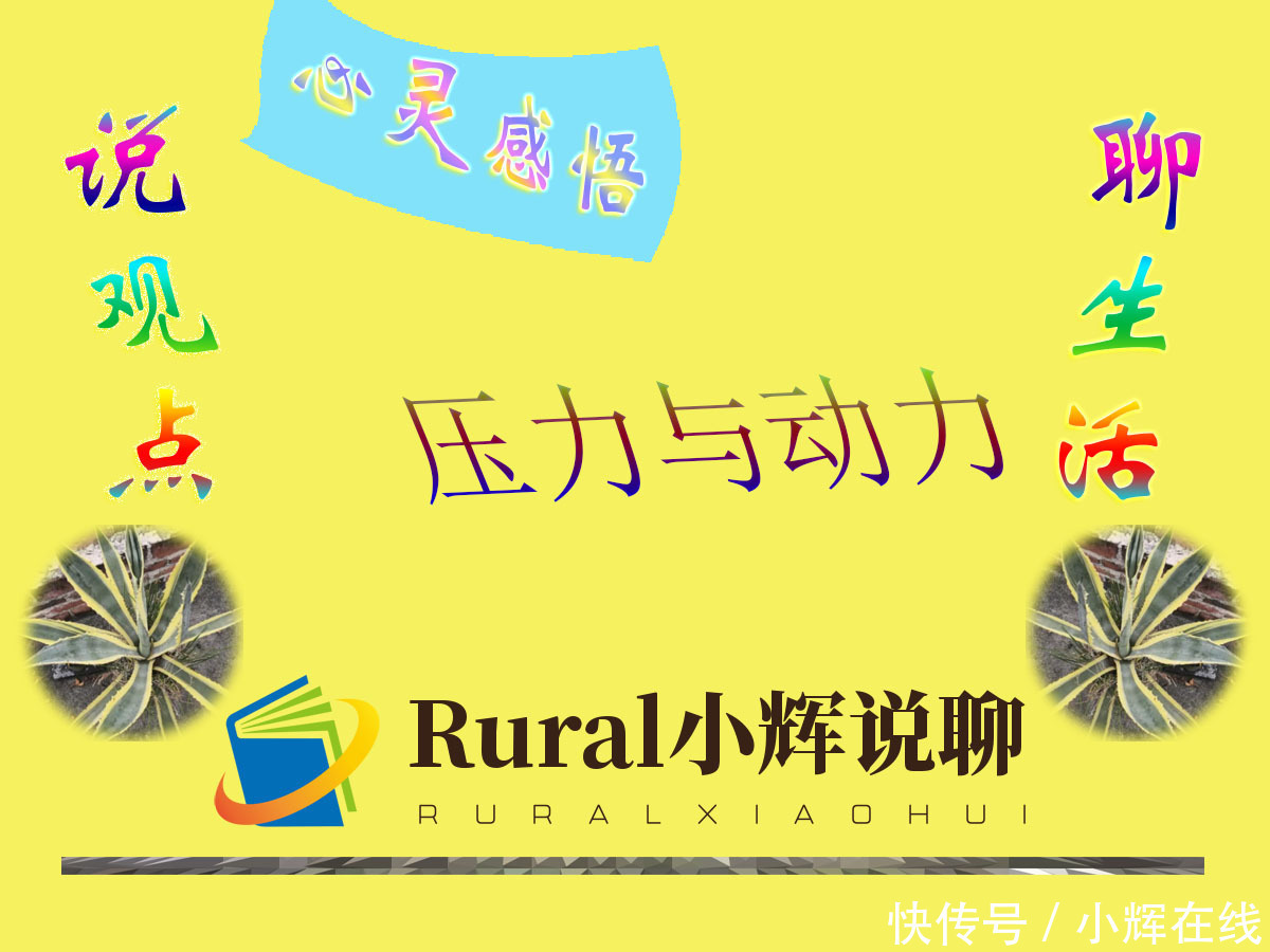 家庭条件|心灵感悟——压力与动力