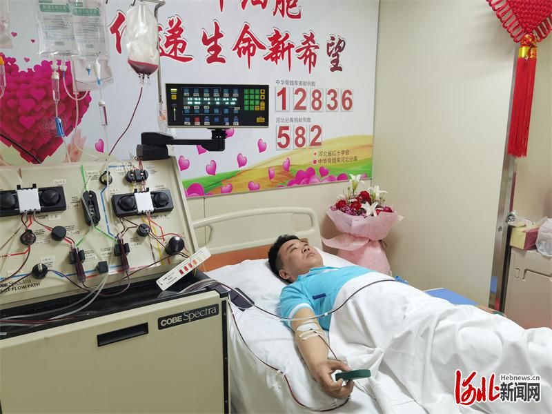 河北省|正定95后“准爸爸”成功捐献造血干细胞为生命续航
