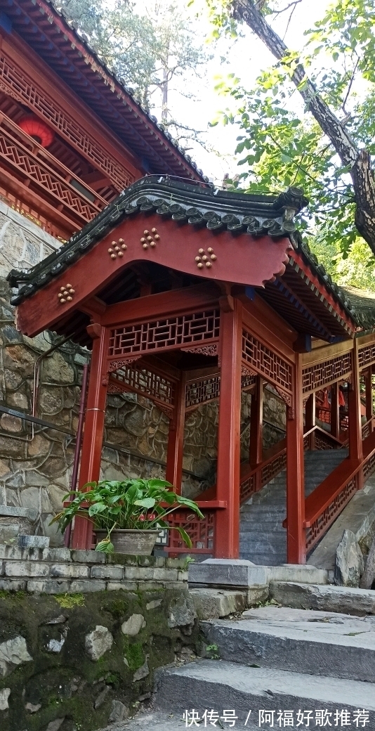 大觉寺|莱芜人在北京：游西山大觉寺