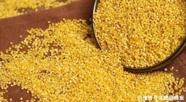 野钓|老钓手分享自己用了几年的酒米配方，每次野钓都能钓个十几斤