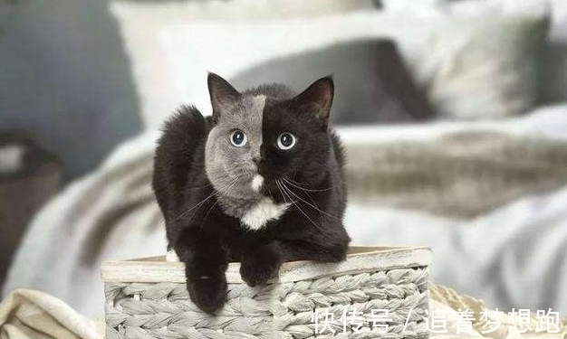 两个人|爸爸是独生子,儿子的DNA却是“叔叔”的?医生告知原因全家慌了