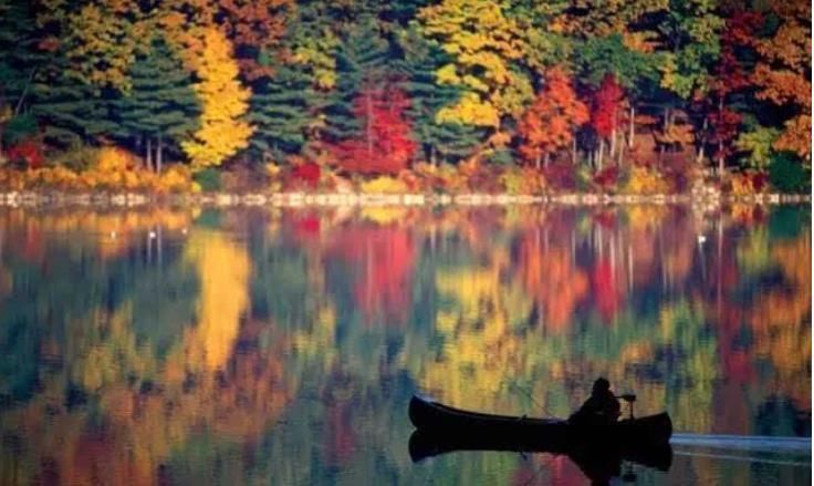 看完《瓦尔登湖》这15句,明白为啥是清华校长力荐的“必读经典”